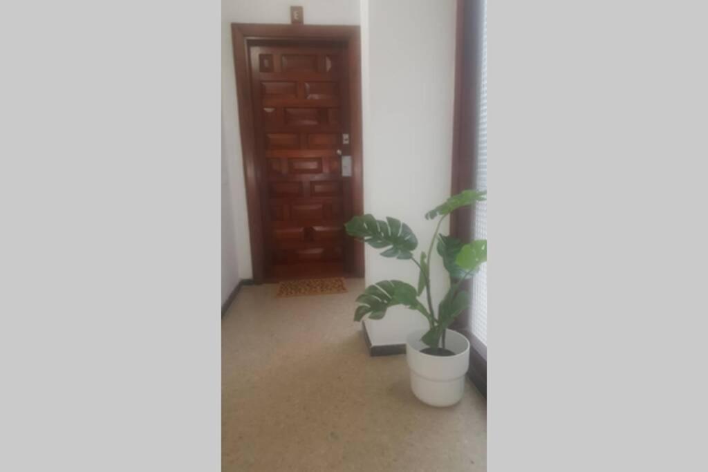 Victoria 51. Apartamento Las Palmas de Gran Canárias Exterior foto